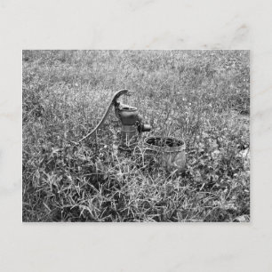 Olden Day Pump Postcard