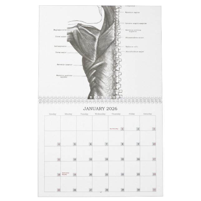 OldSchool Anatomy Calendar (Jan 2026)