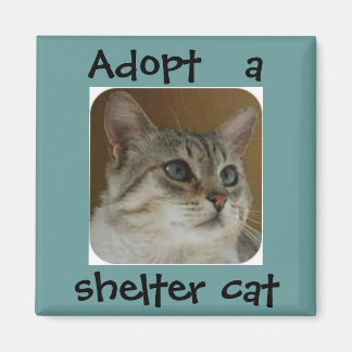 Ole Blue Eyes Magnet