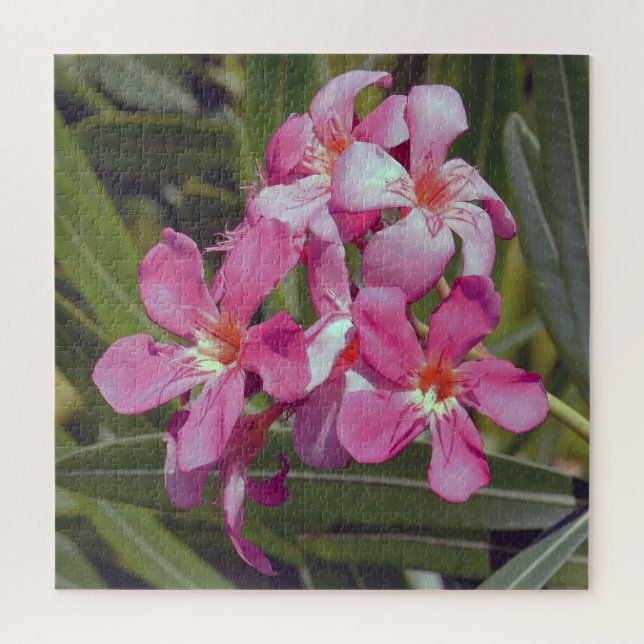 Oleander Flower Jigsaw Puzzle (Vertical)