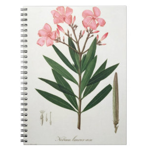 Oleander from 'Phytographie Medicale' by Joseph Ro Notebook