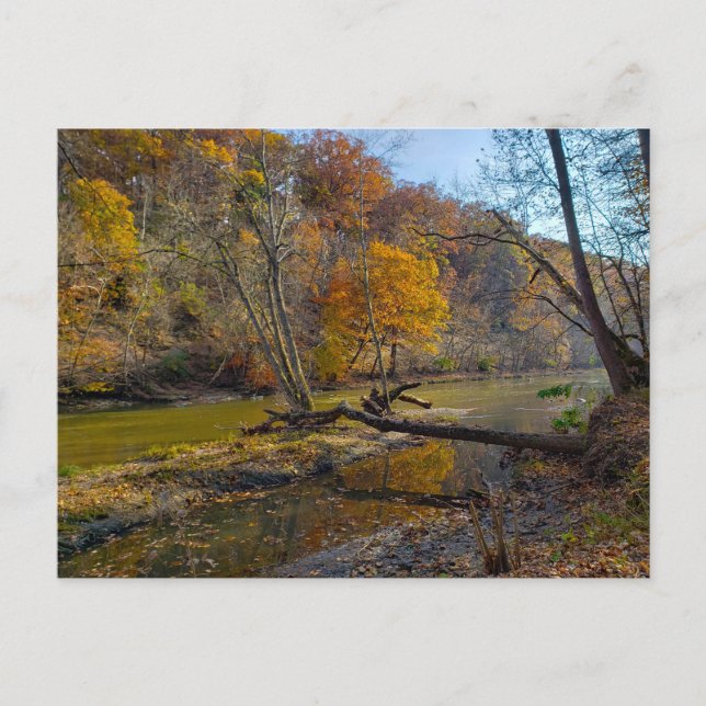 Olentangy River in Fall, Highbanks Metro park, OH Postcard (Front)