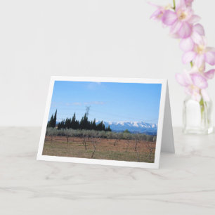 Olive and Almond Trees and Snowy Mountains Card