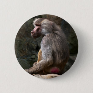 Olive Baboon 2 Inch Round Button