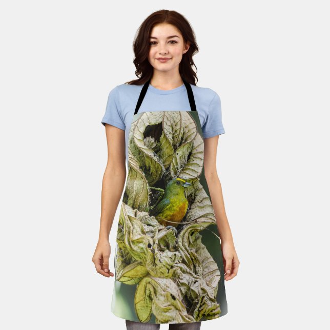 Olive Backed Euphonia, Belize Bird Apron (Worn)