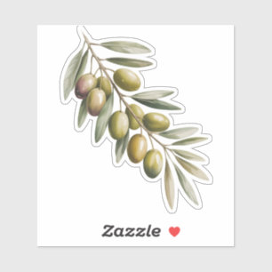Olive branch