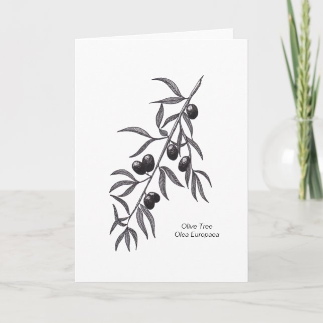 Olive Branch Blank Greeting Card for any occasion (Front)