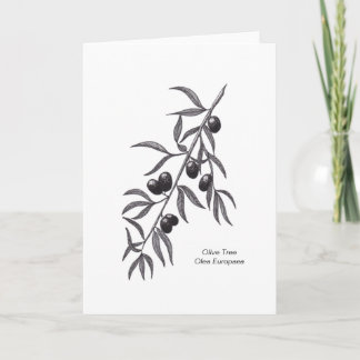 Olive Branch Blank Greeting Card for any occasion