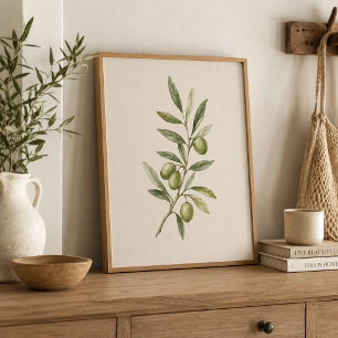 Olive Branch Botanical Art Print