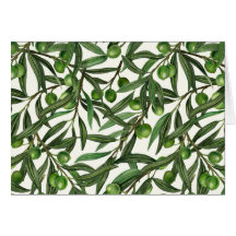 Olive branches on off white
