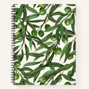 Olive branches on off white notebook