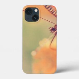 Olive colour iPhone 13 Mini Case