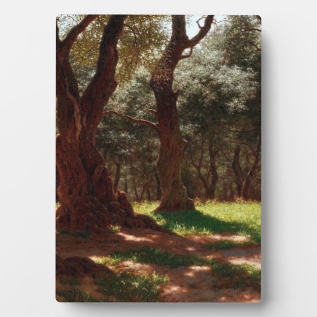 Olive Forest in Cap Saint Martin Plaque (Front)