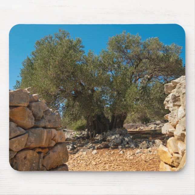 Olive Gardens of Lun Mouse Pad (Front)