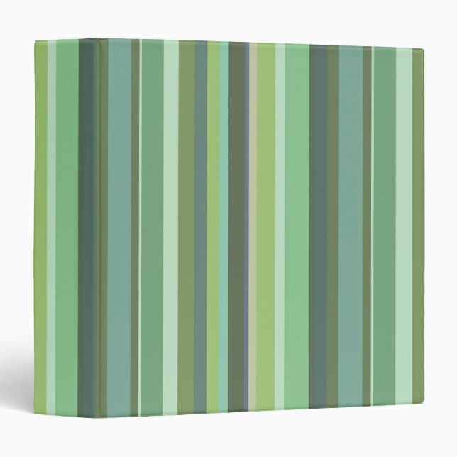 Olive green horizontal stripes binder (Front/Spine)