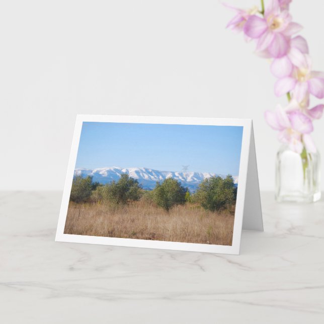 Olive Grove and Snowy Mountains Card (Orchid)