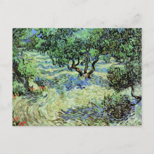 Olive Grove by Vincent van Gogh Postcard