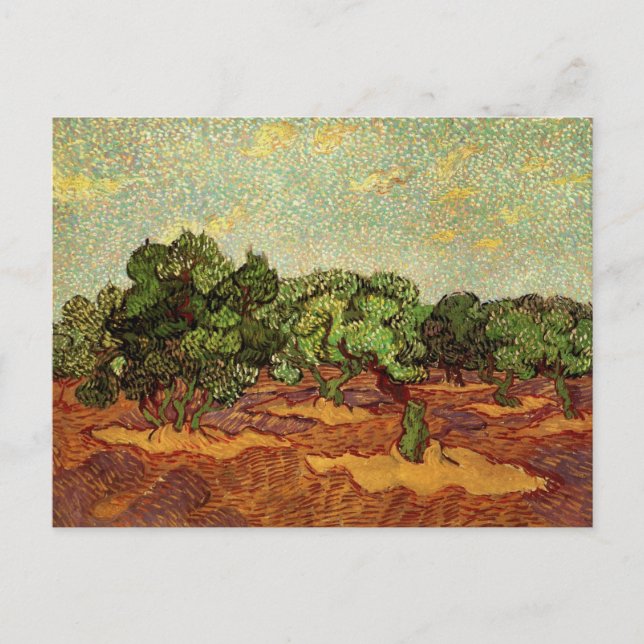 Olive Grove, Pale Blue Sky by Vincent van Gogh Postcard (Front)