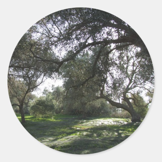 Olive Grove Stickers (Front)