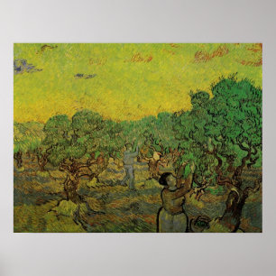 Olive Grove with Picking Figures, Vincent van Gogh Poster