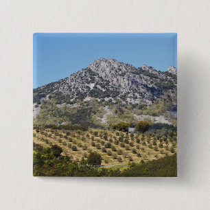 Olive Groves 2 Inch Square Button
