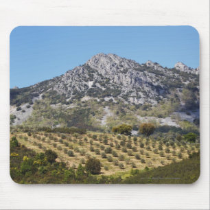 Olive Groves Mouse Pad