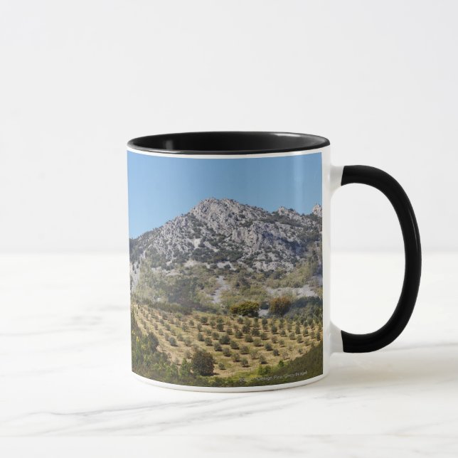 Olive Groves Mug (Right)