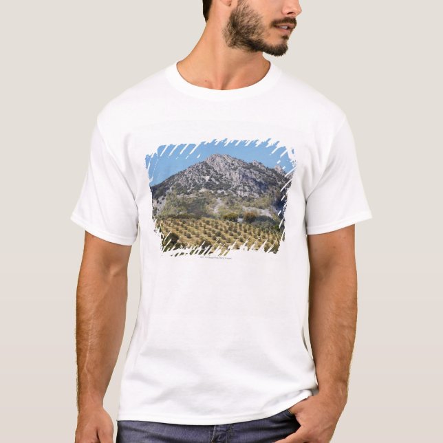 Olive Groves T-Shirt (Front)