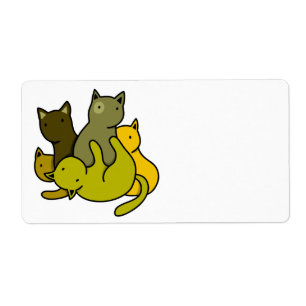 Olive kittens