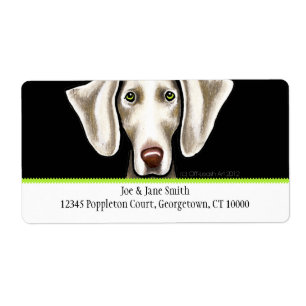 Olive noire de Weimaraner n traditionnelle
