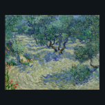 Olive Orchard by Vincent Van Gogh Poster<br><div class="desc">Olive Orchard by Vincent Van Gogh, oil on canvas 1889, is a landscape painting of a grove of gnarled olive trees with grey leaves on hilly, sandy soil beneath a deep blue sky. Painted in emphatic, broken brushstrokes of swirling movement in similar, contrasting and near complementary colours of grey, mauve,...</div>