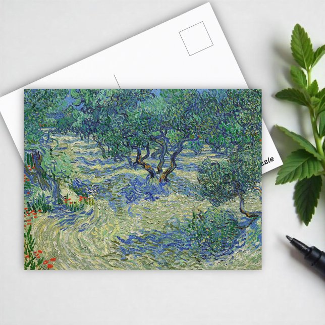 Olive Orchard, Vincent van Gogh  Postcard (Creator Uploaded)