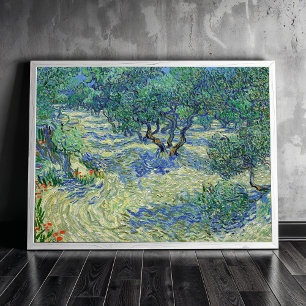 Olive Orchard, Vincent van Gogh   Poster