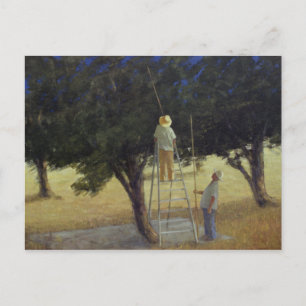 Olive Pickers 1985 Postcard