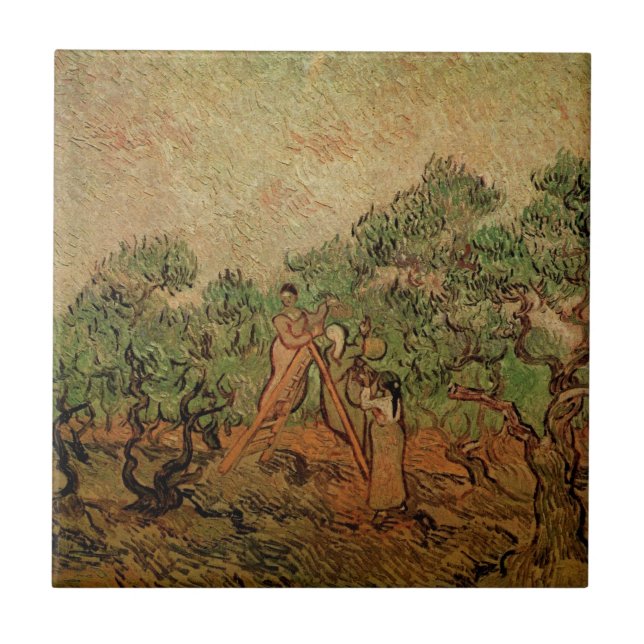 Olive Picking by Vincent van Gogh Tile (Front)