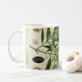 Olive Plant Botanical Illustration Coffee Mug