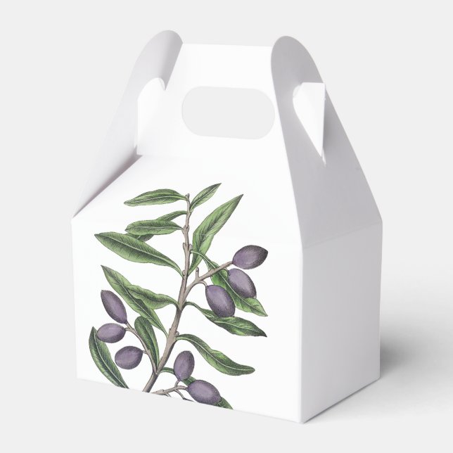 Olive Tree Branch | Green Purple Favor Box (Front Side)