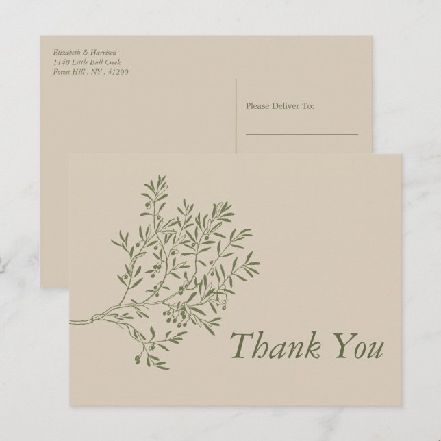 Olive Tree Branch, Rustic & Minimalistic Thank You Postcard (Front/Back)