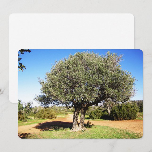 Olive Tree Flat Holiday Card (Front/Back)