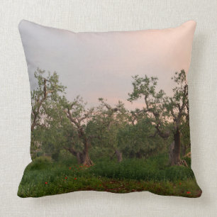 Olive tree grove at sunset throw pillow