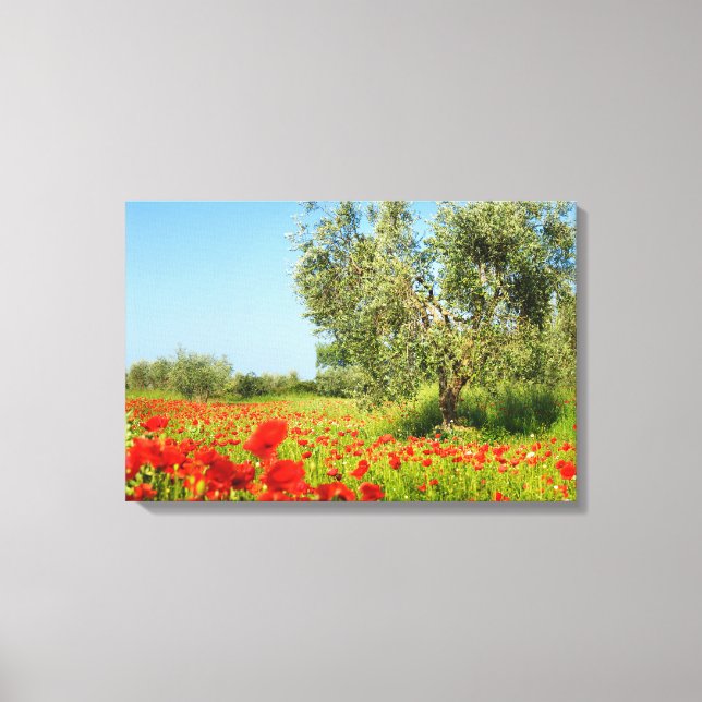 Olive tree in poppy field canvas (Front)