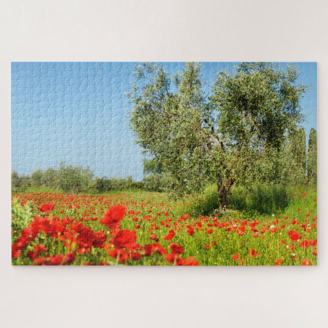 Olive tree in poppy field in summer jigsaw puzzle (Horizontal)