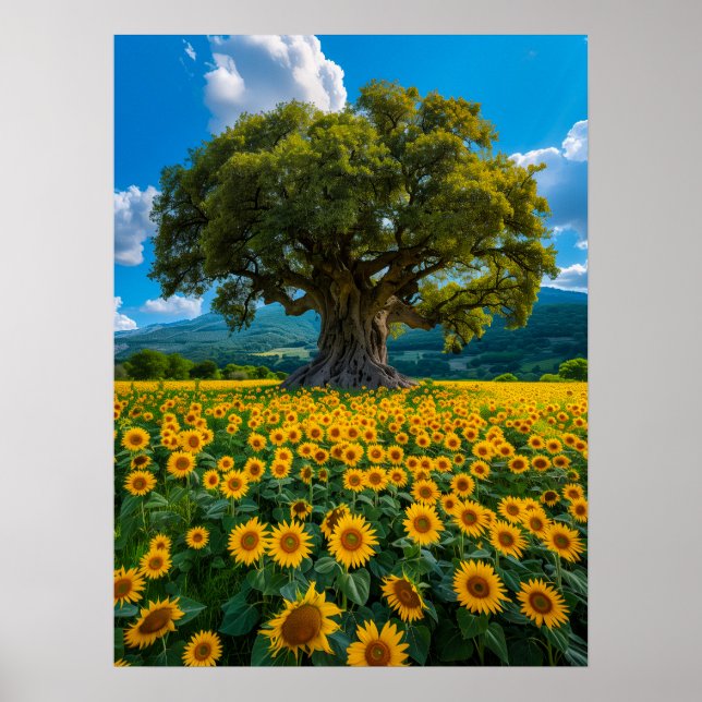 Olive Tree in Sunflower Field Poster (Front)