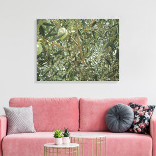 Olive Tree Leaves Canvas Print