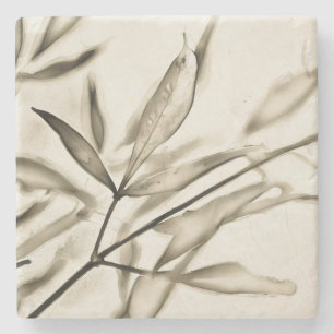 Olive Tree Leaves in Sepia Art Marble Stone Coaster
