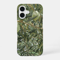 Olive Tree Leaves