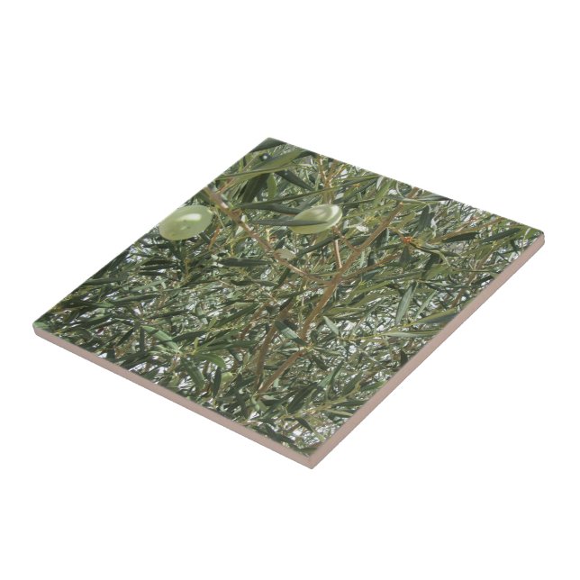 Olive Tree Leaves Tile (Side)