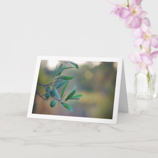 Olive Tree with Bokeh Background Card (Orchid)
