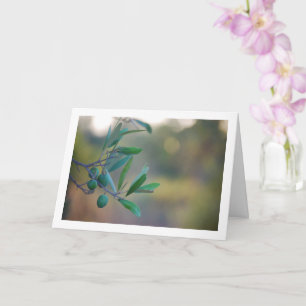 Olive Tree with Bokeh Background Card