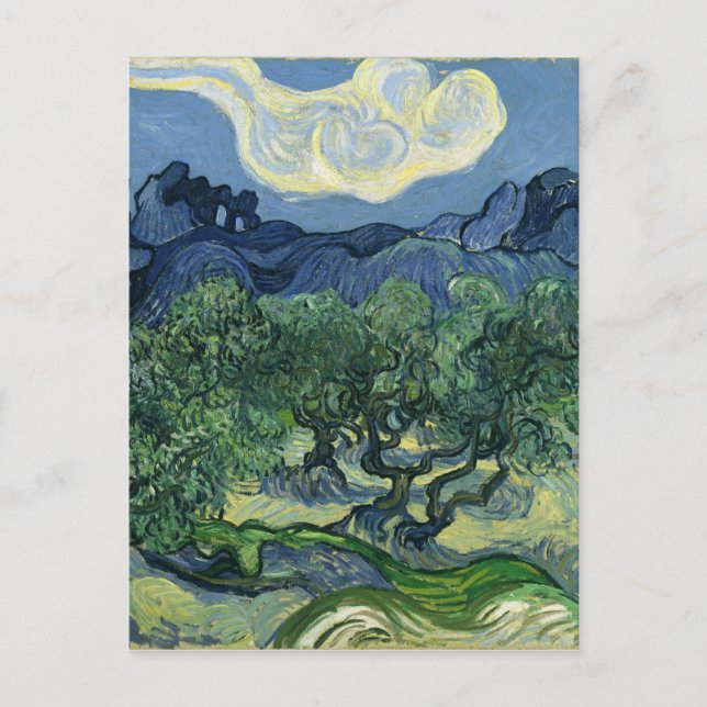 Olive Trees by Van Gogh Postcard (Front)